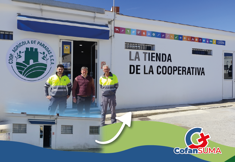 Proyecto 2 - Imagen 2