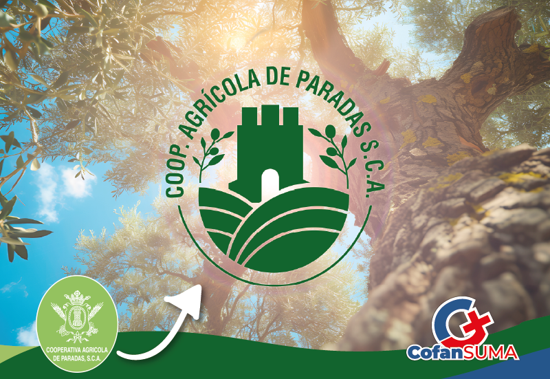 Proyecto 2 - Imagen 3